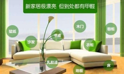 如何快速去除新家具的甲醛及空氣凈化器租賃指南