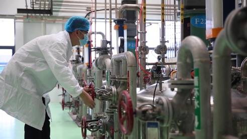 責(zé)任民企顯擔(dān)當(dāng)，靠上服務(wù)助復(fù)產(chǎn)——泰安生物技術(shù)企業(yè)馳援抗疫一線