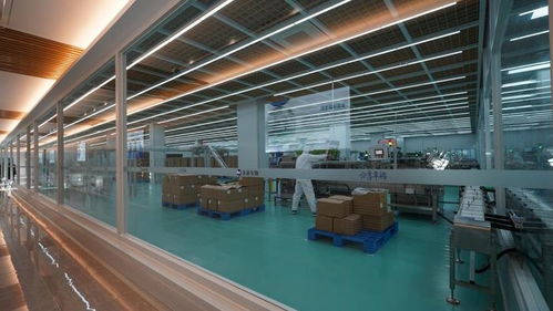 未來生物 以卓越品質(zhì)與專業(yè)服務(wù)，鑄就生物技術(shù)開發(fā)領(lǐng)域的信賴之選