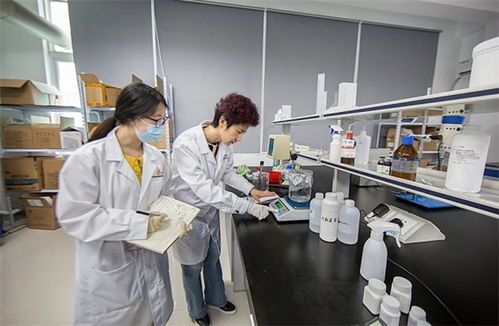 抓品質(zhì)重服務(wù)，海智生物專注品質(zhì)，倚夢(mèng)前行