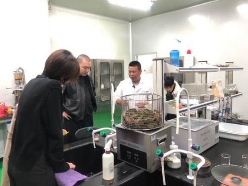 科技賦能農(nóng)業(yè)新篇章 CCTV 1聚焦云谷田園LED植物工廠，珍稀本草金線蓮成功培育引領(lǐng)生物技術(shù)新服務(wù)